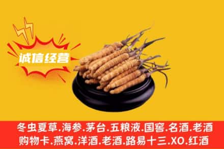 武进区回收冬虫夏草